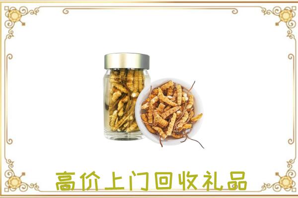 潮州周边回收虫草